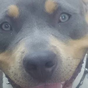 Meet your Posher, Mark